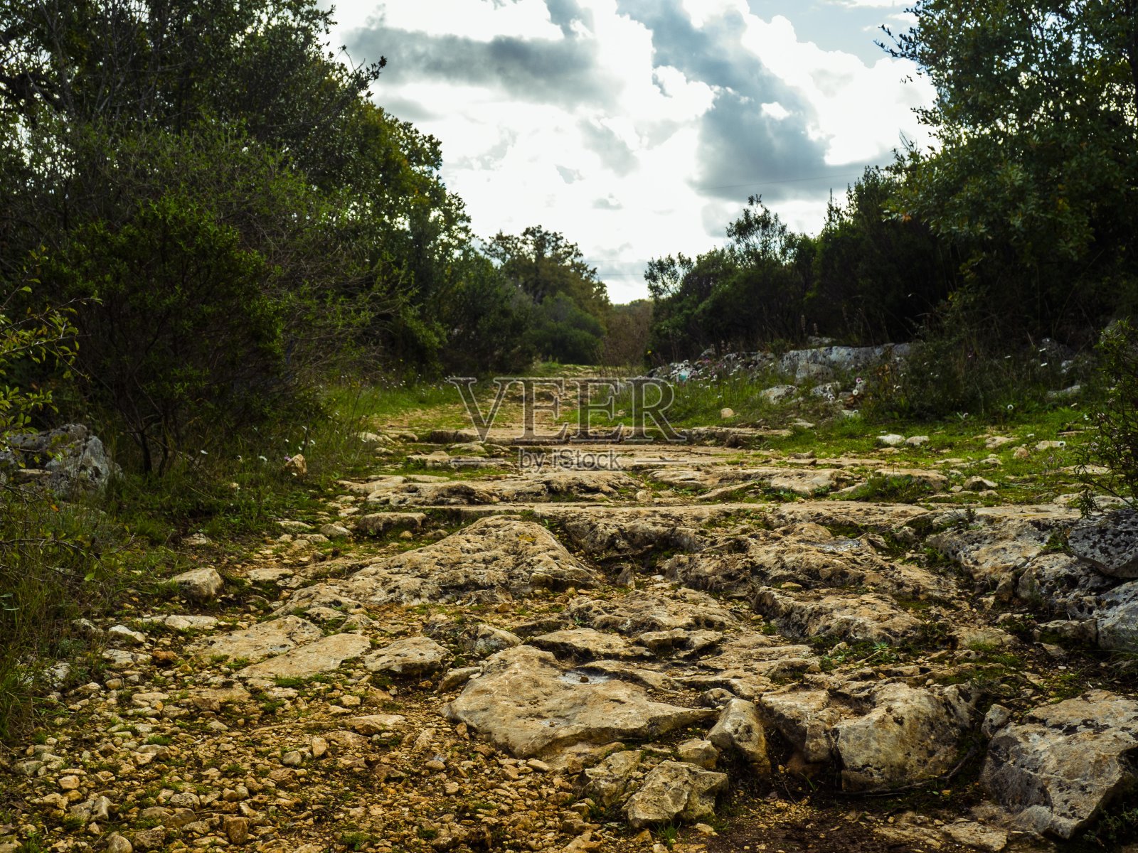 阿普利亚区的景观照片摄影图片