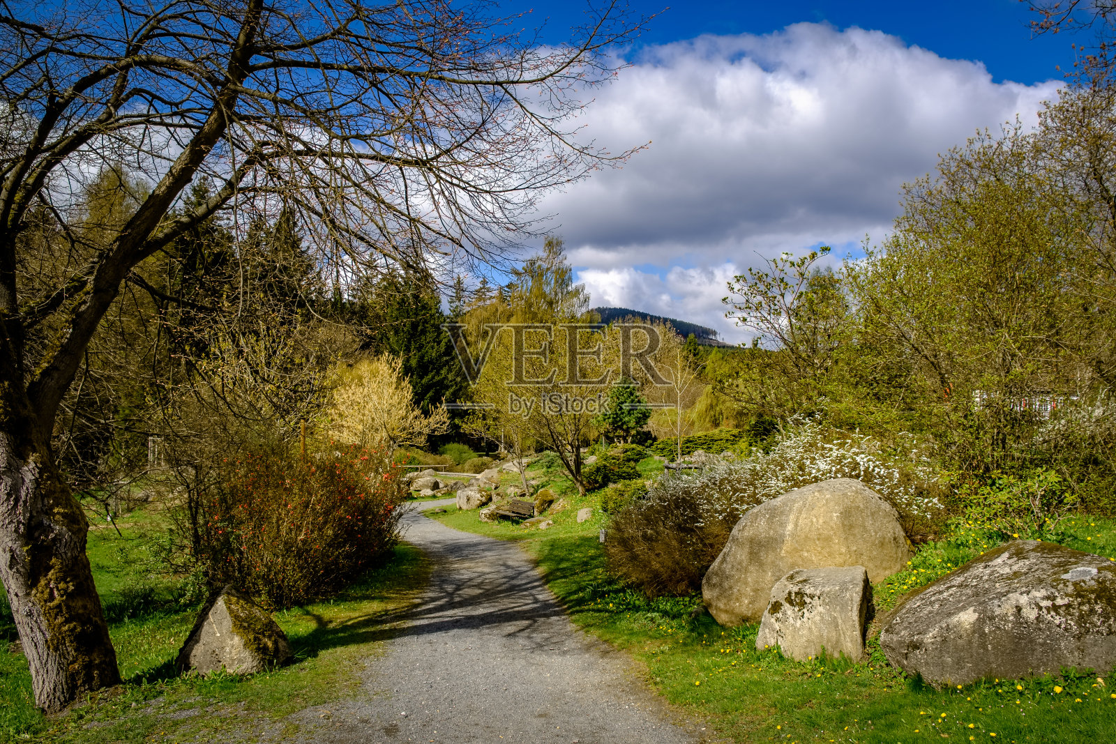 席尔克温泉公园的春天照片摄影图片
