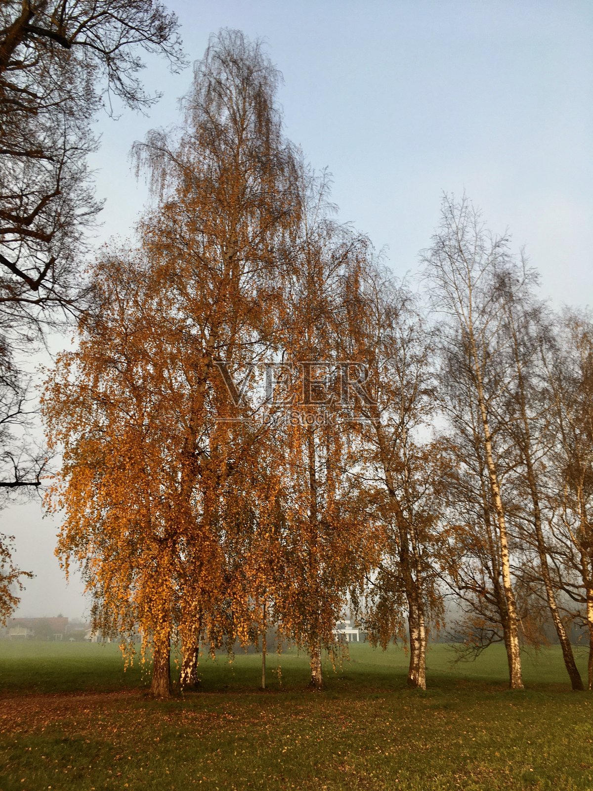 Bad Aibling是一个温泉小镇，也是巴伐利亚地区的前行政区，位于慕尼黑东南56公里处的曼富尔河畔。照片摄影图片