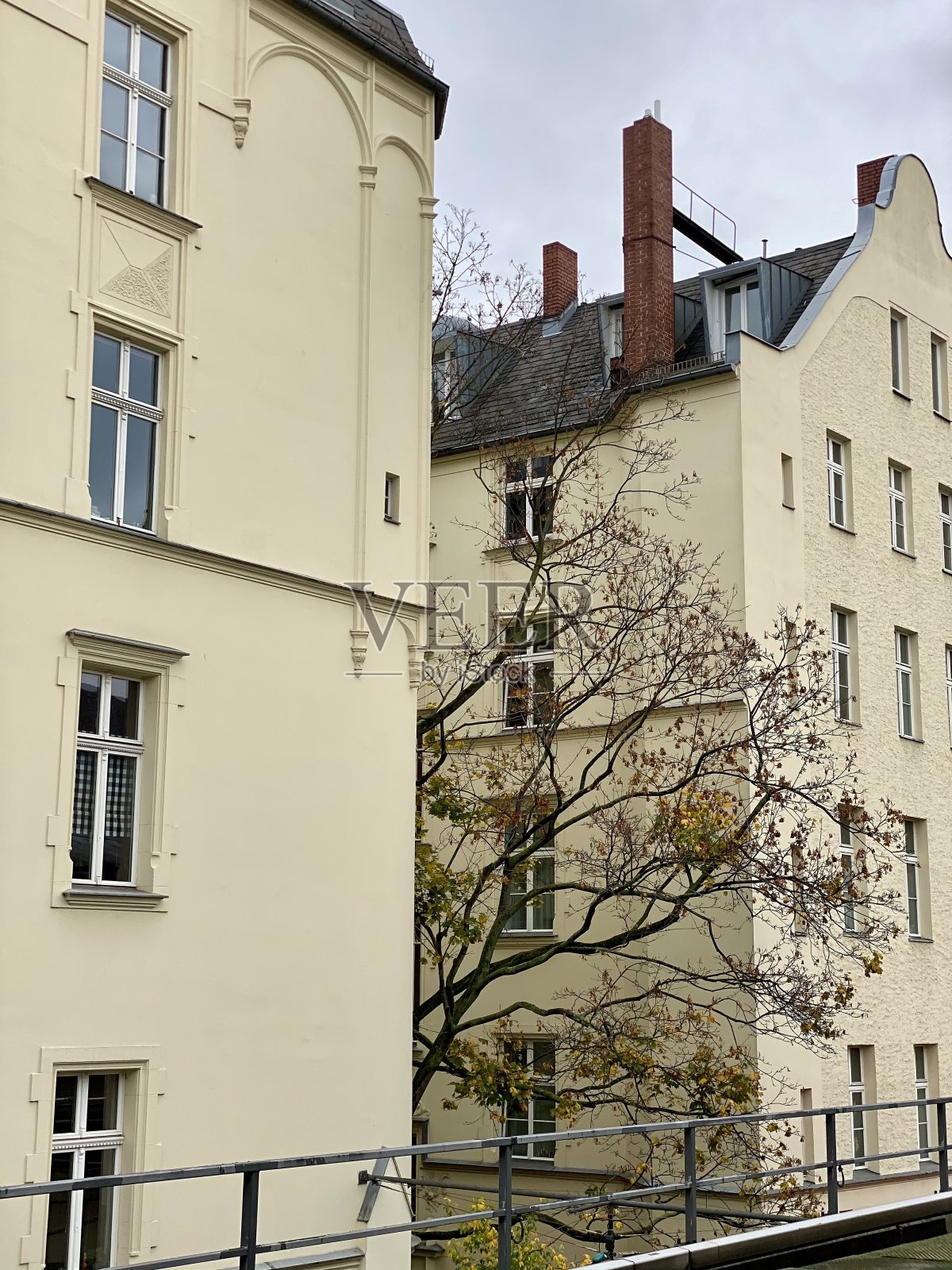 柏林的老建筑和树木照片摄影图片