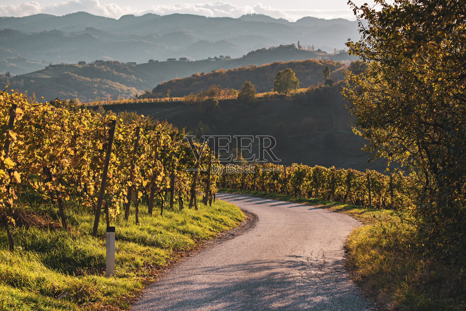 斯洛文尼亚和奥地利葡萄酒之路照片摄影图片