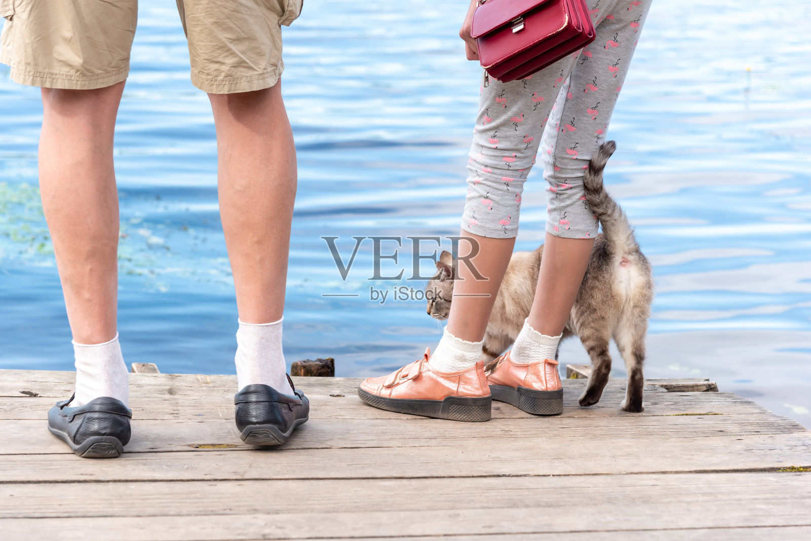 一男一女带着虎斑猫站在古老的木栈桥上照片摄影图片