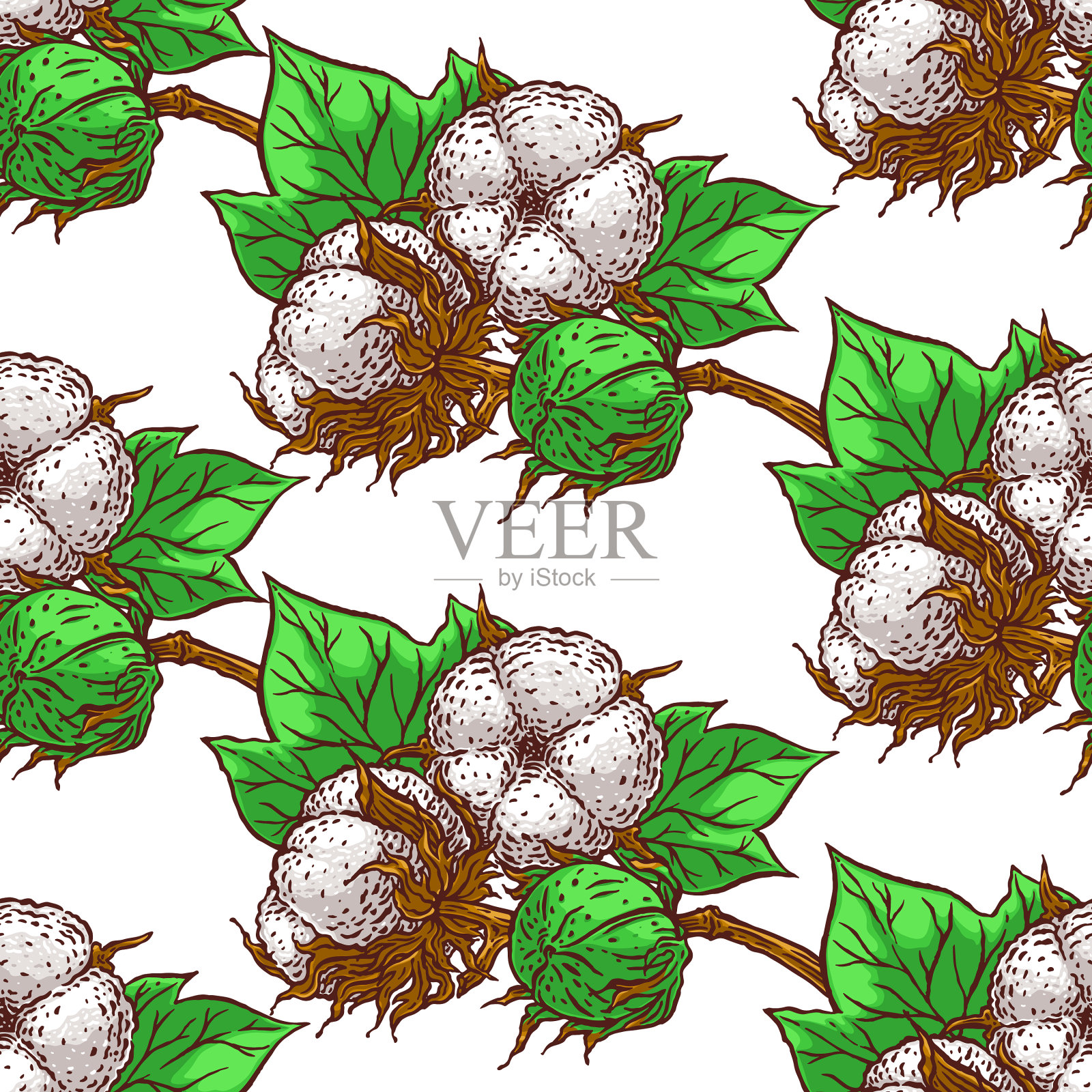 无缝的棉花分支插画图片素材