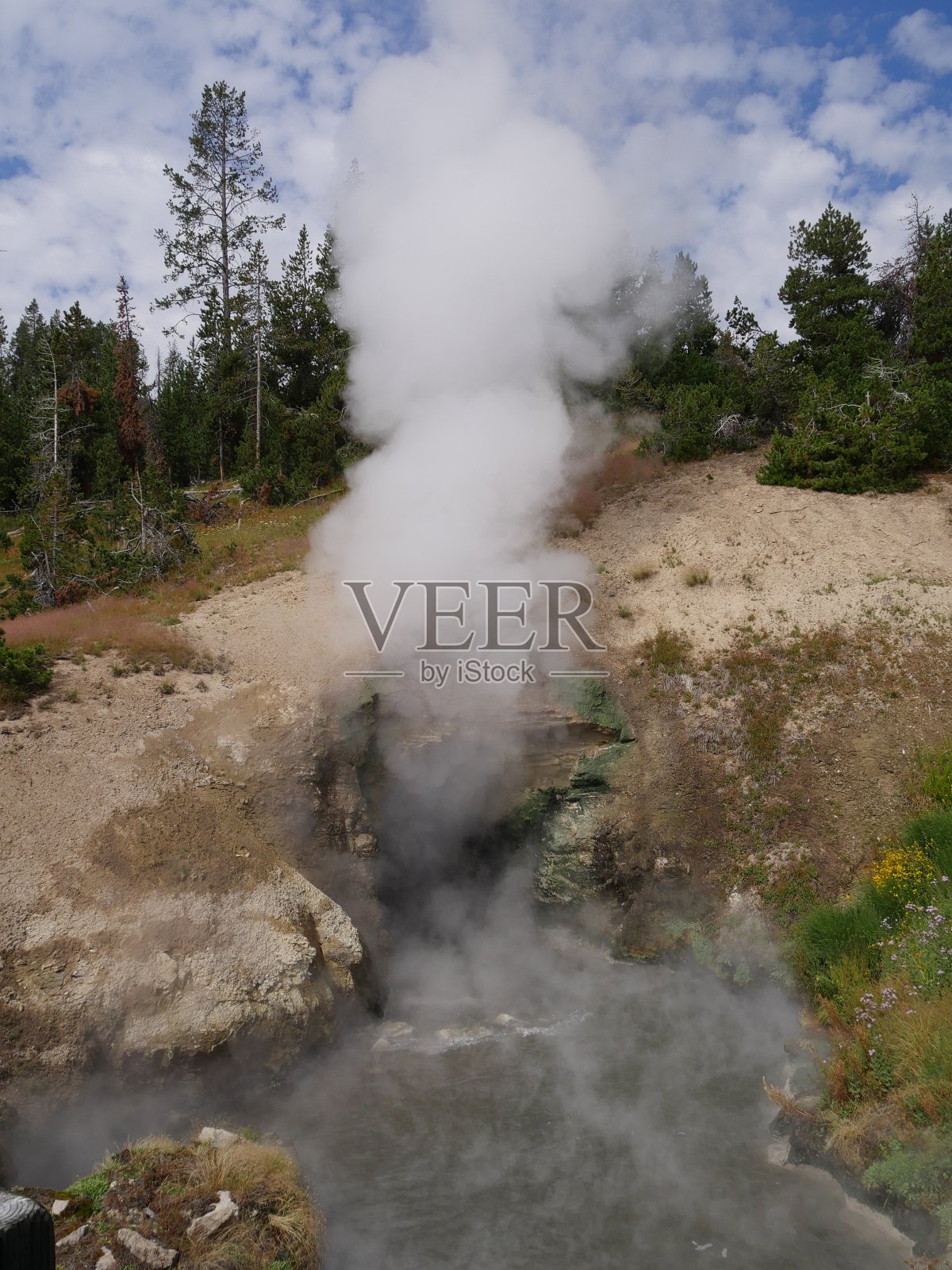 黄石国家公园的龙泉口喷出热气。照片摄影图片