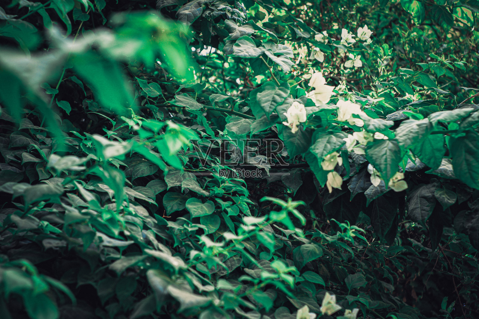 光绘摄影照片摄影图片