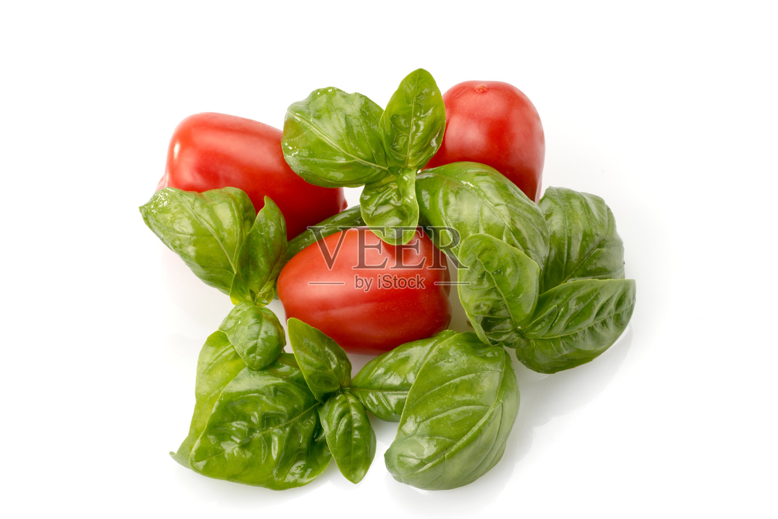 新鲜成熟的西红柿和罗勒叶照片摄影图片