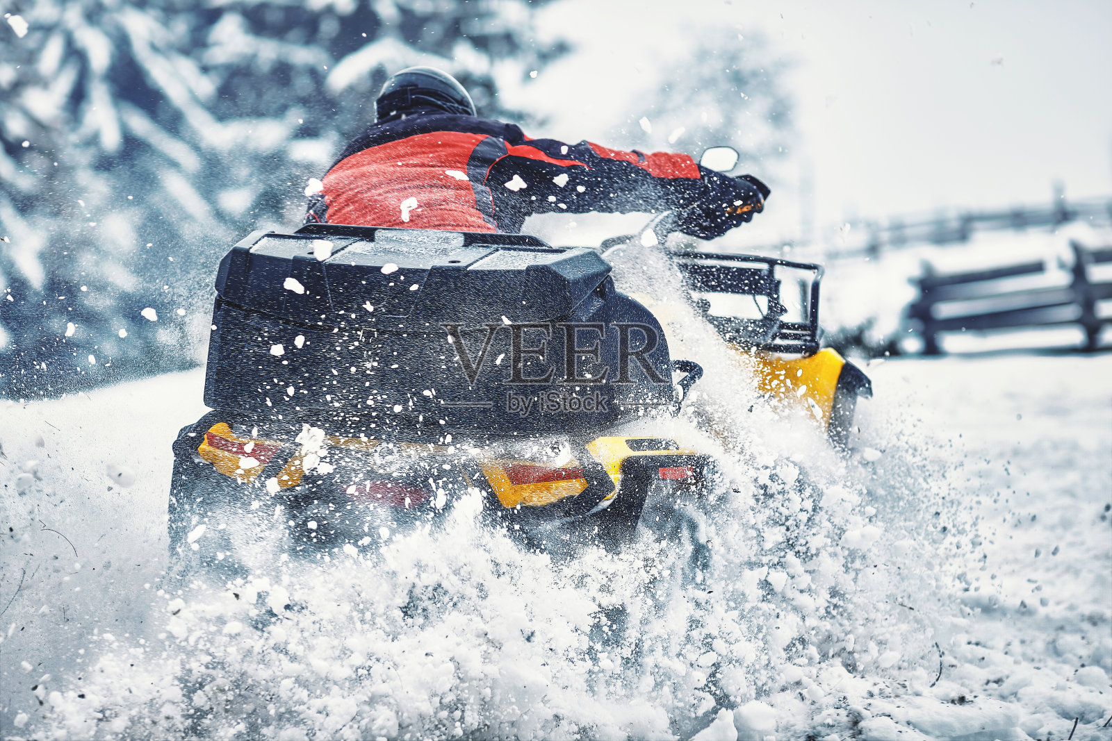 冬天在森林里骑着四轮自行车散步。照片摄影图片