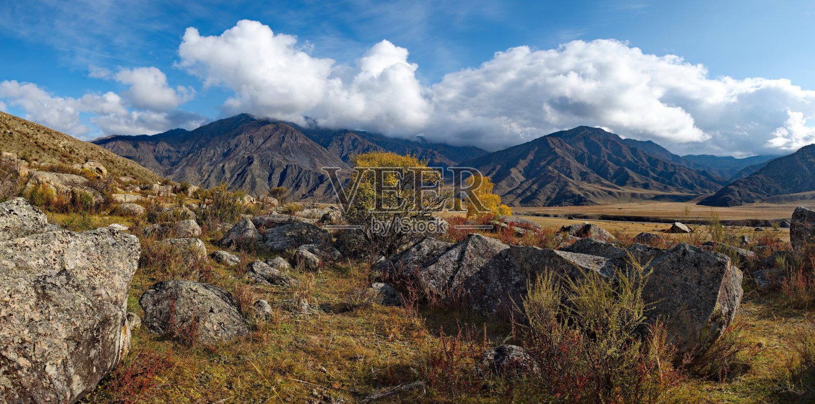 阿尔泰广袤的秋色，大自然的严酷照片摄影图片