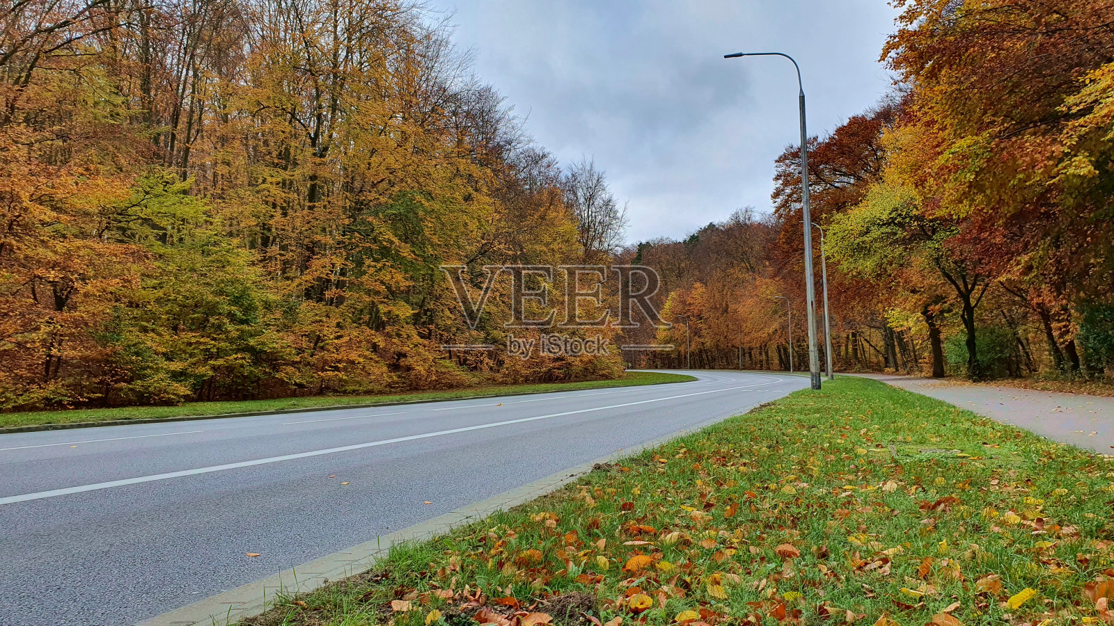街道和人行道在秋天的森林里，没有人或汽车。照片摄影图片