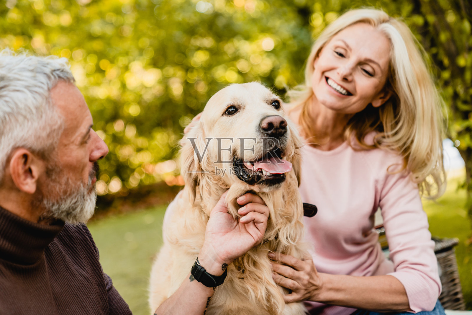 快乐的白人老年夫妇在秋季公园抚摸他们的狗照片摄影图片
