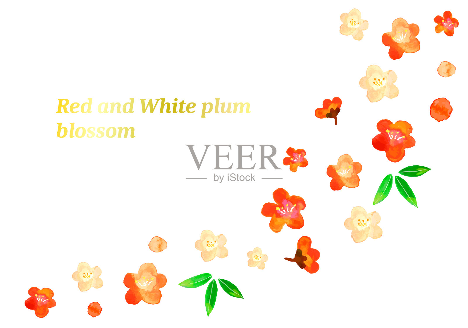 水彩梅花背景插画图片素材