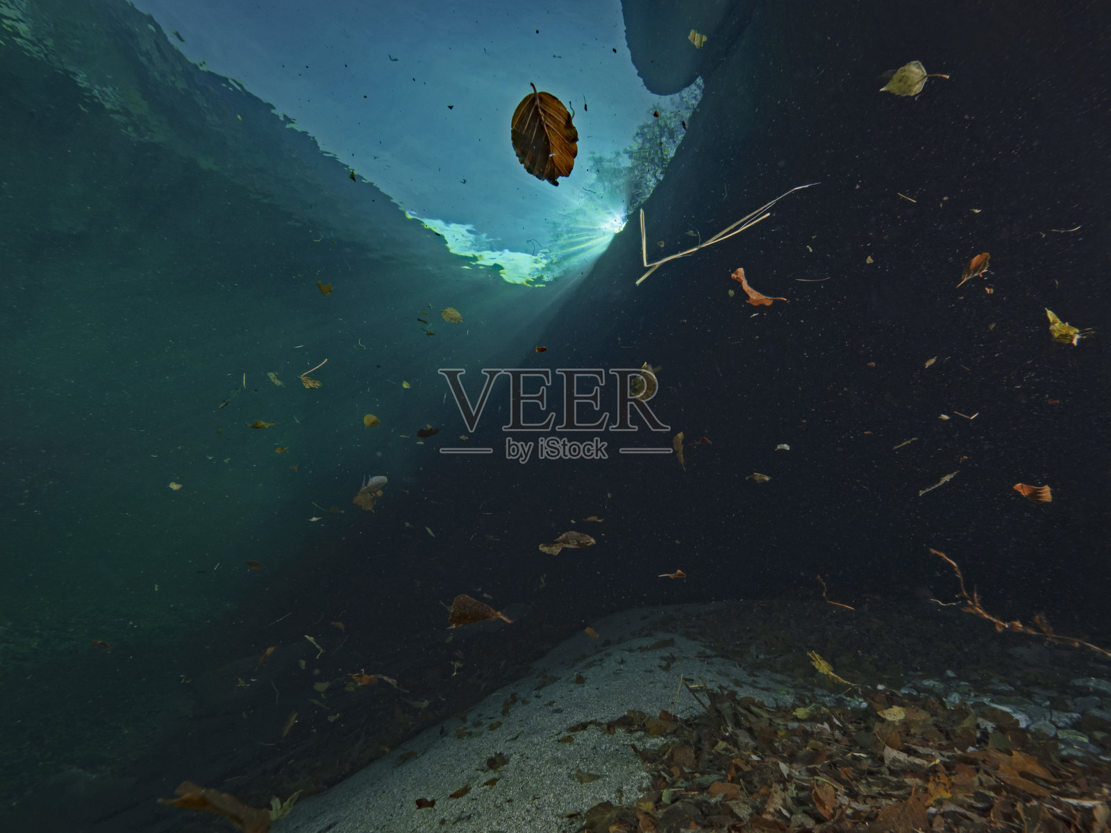 秋叶在水中起舞照片摄影图片