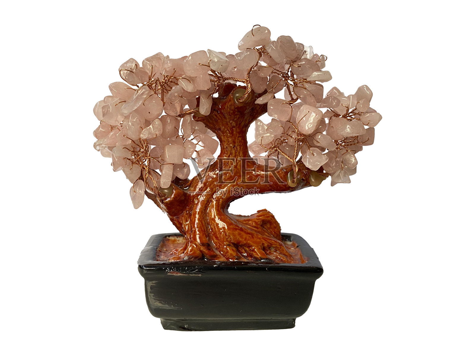 装饰迷你盆景树照片摄影图片