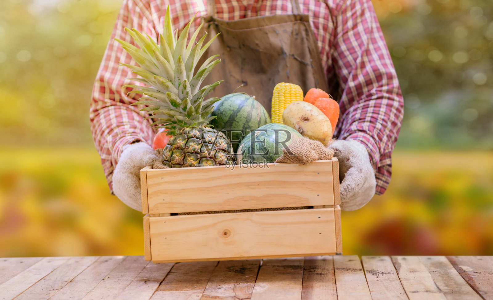 农民在秋天与生态水果和蔬菜。农业丰收丰饶，秋天和感恩节。照片摄影图片