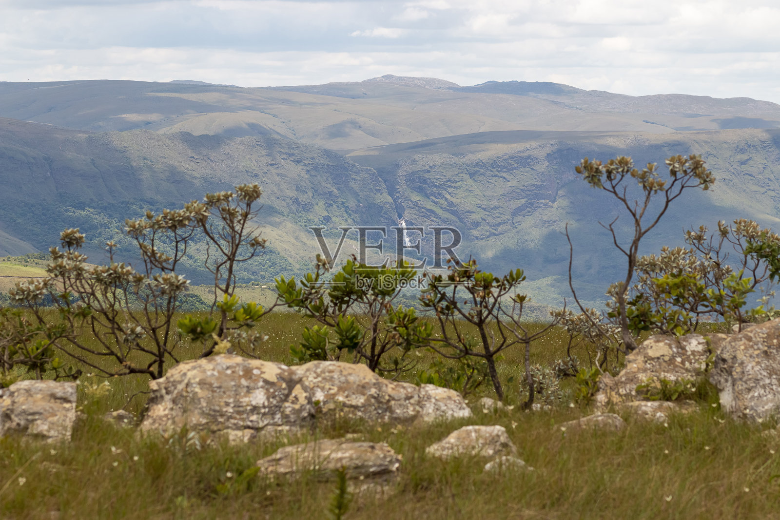 巴西米纳斯吉拉斯州的Serra da Canastra的景观和植被，照片摄影图片