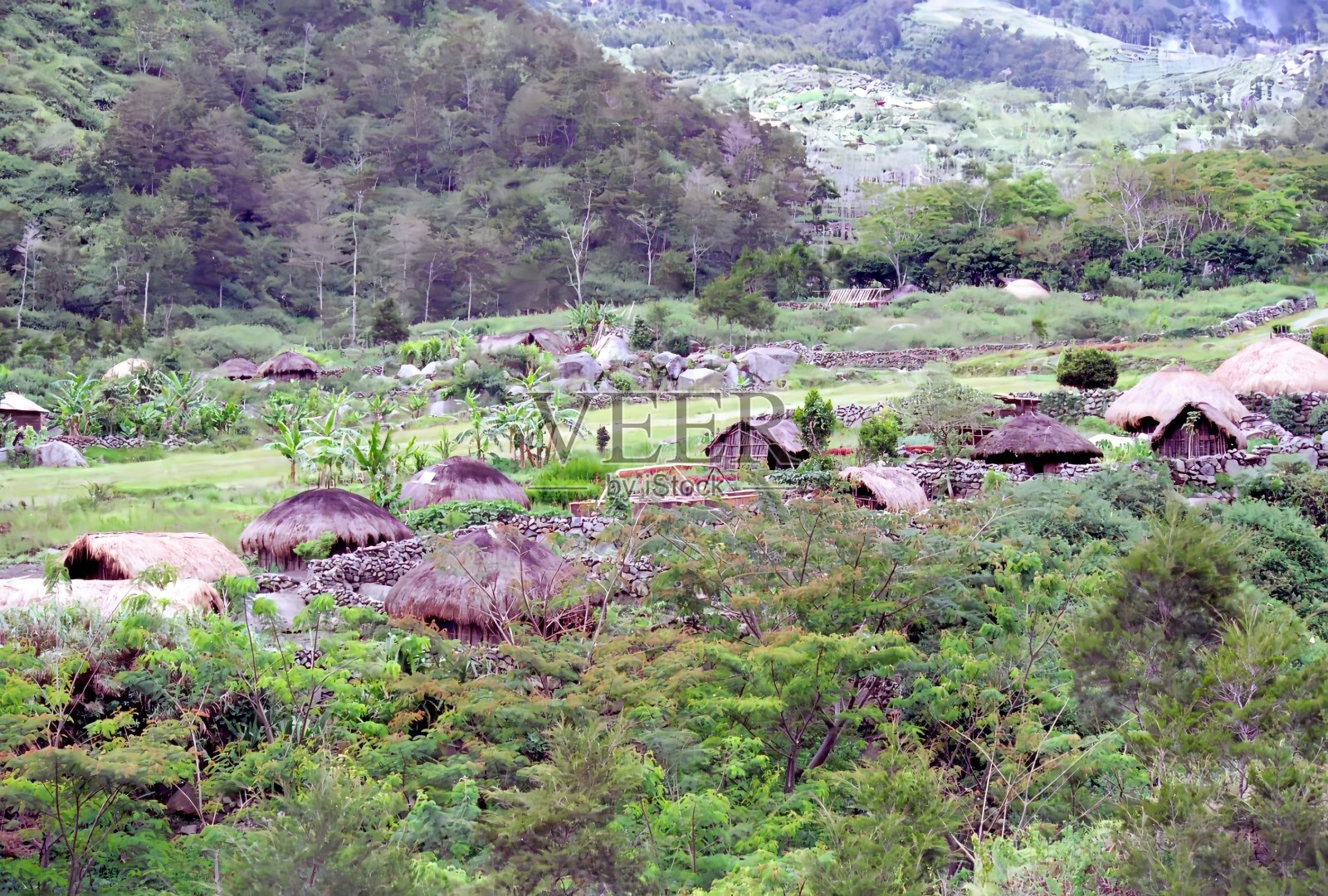位于新几内亚巴列姆山谷的达尼部落的一个村庄照片摄影图片