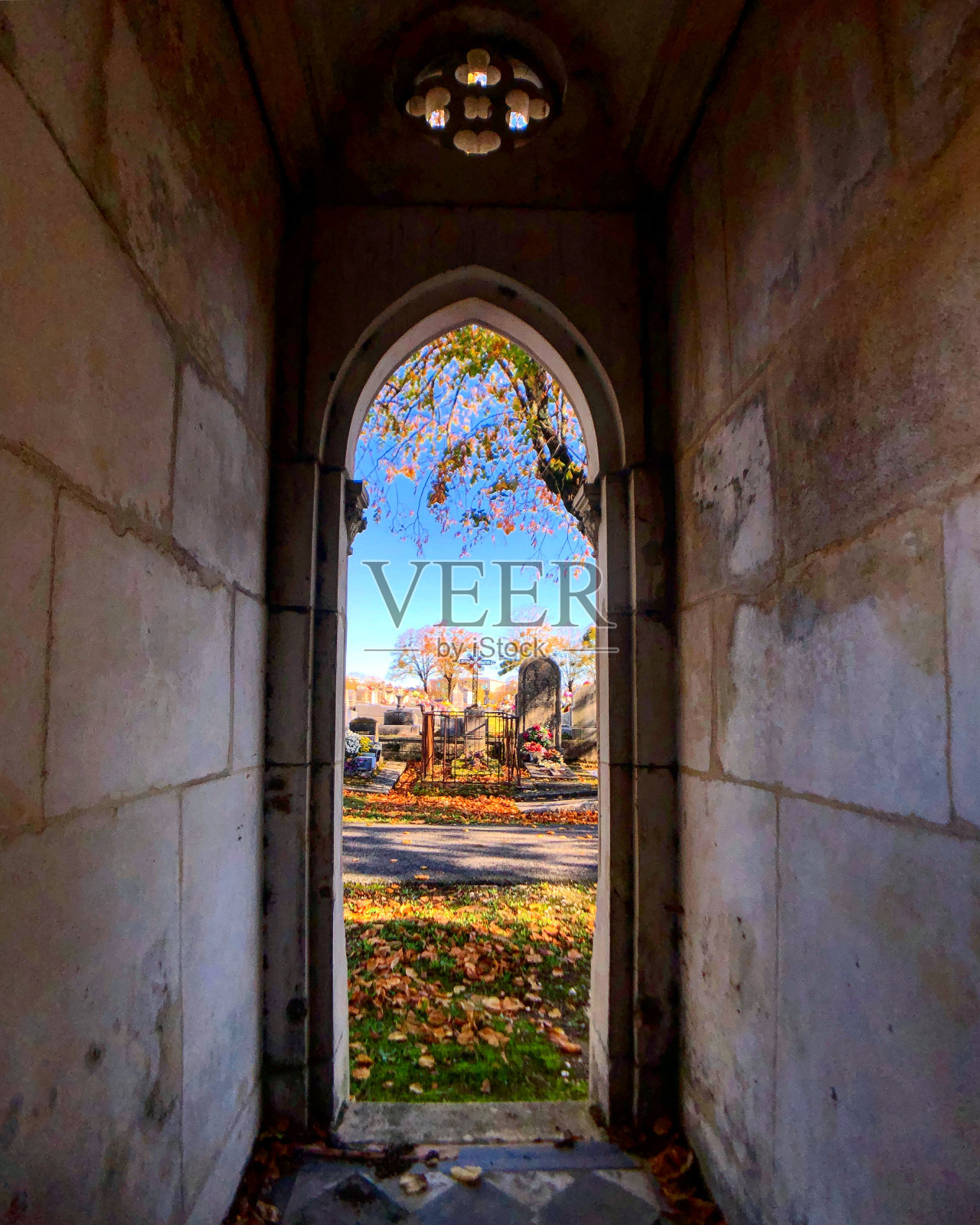 在坟墓里照片摄影图片