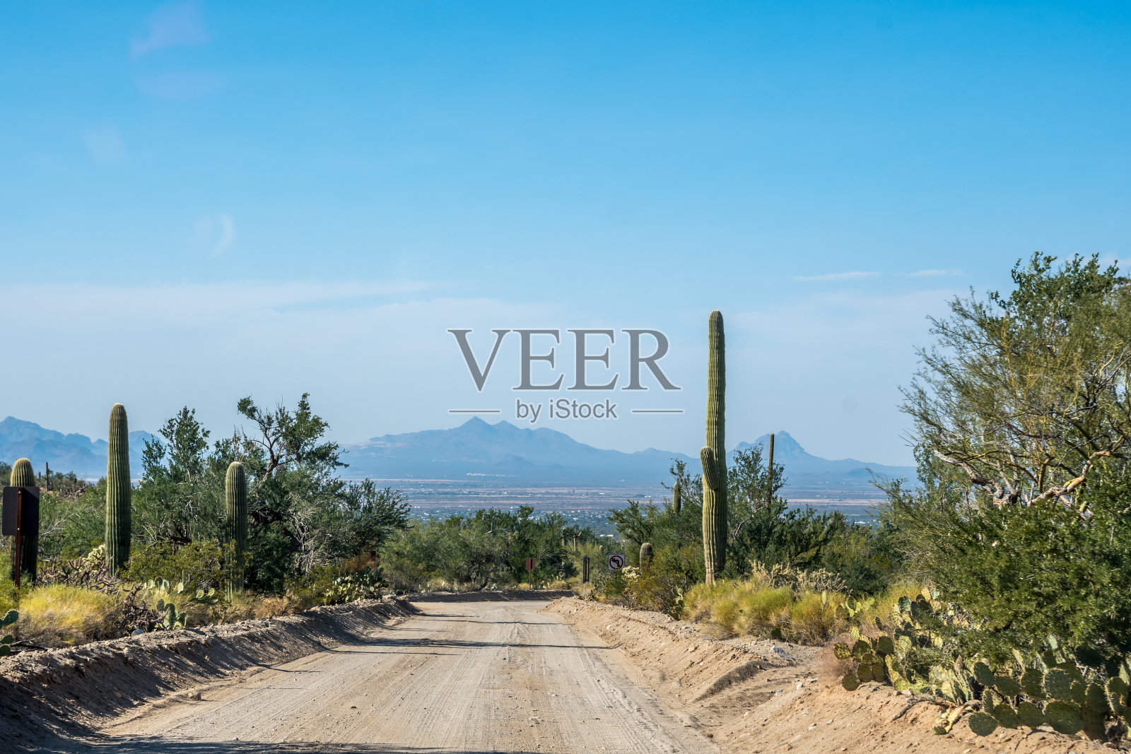 在亚利桑那州的撒瓜罗国家公园的路上照片摄影图片