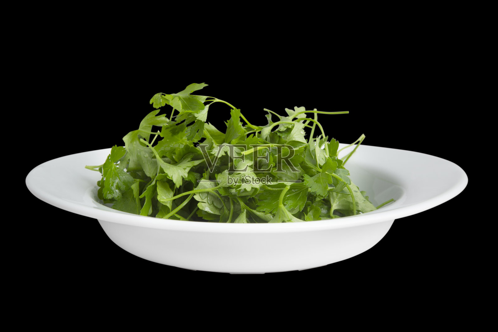 新鲜的香菜照片摄影图片