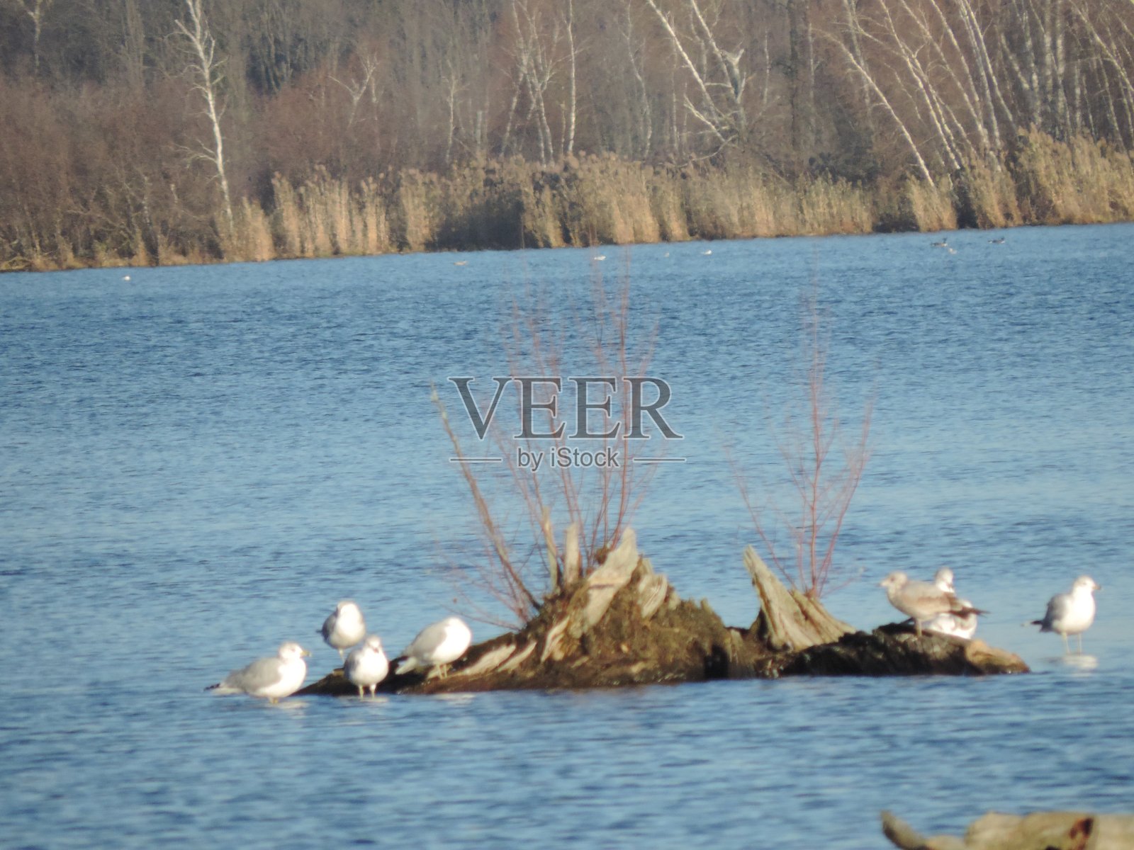 11月的一天照片摄影图片