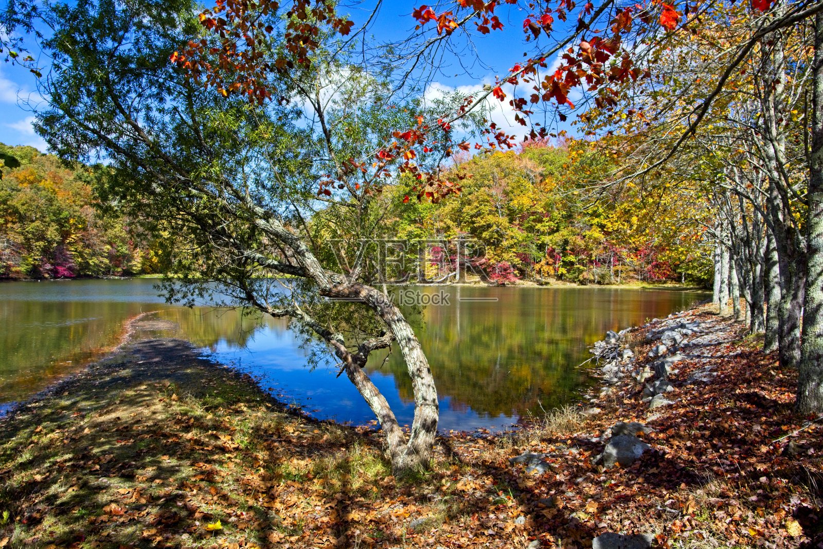 秋天的颜色照片摄影图片