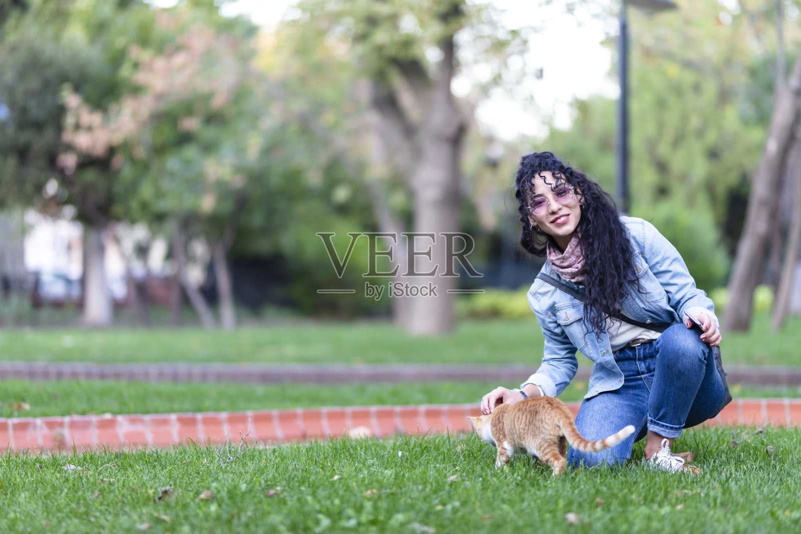 女人害怕黄色的猫照片摄影图片