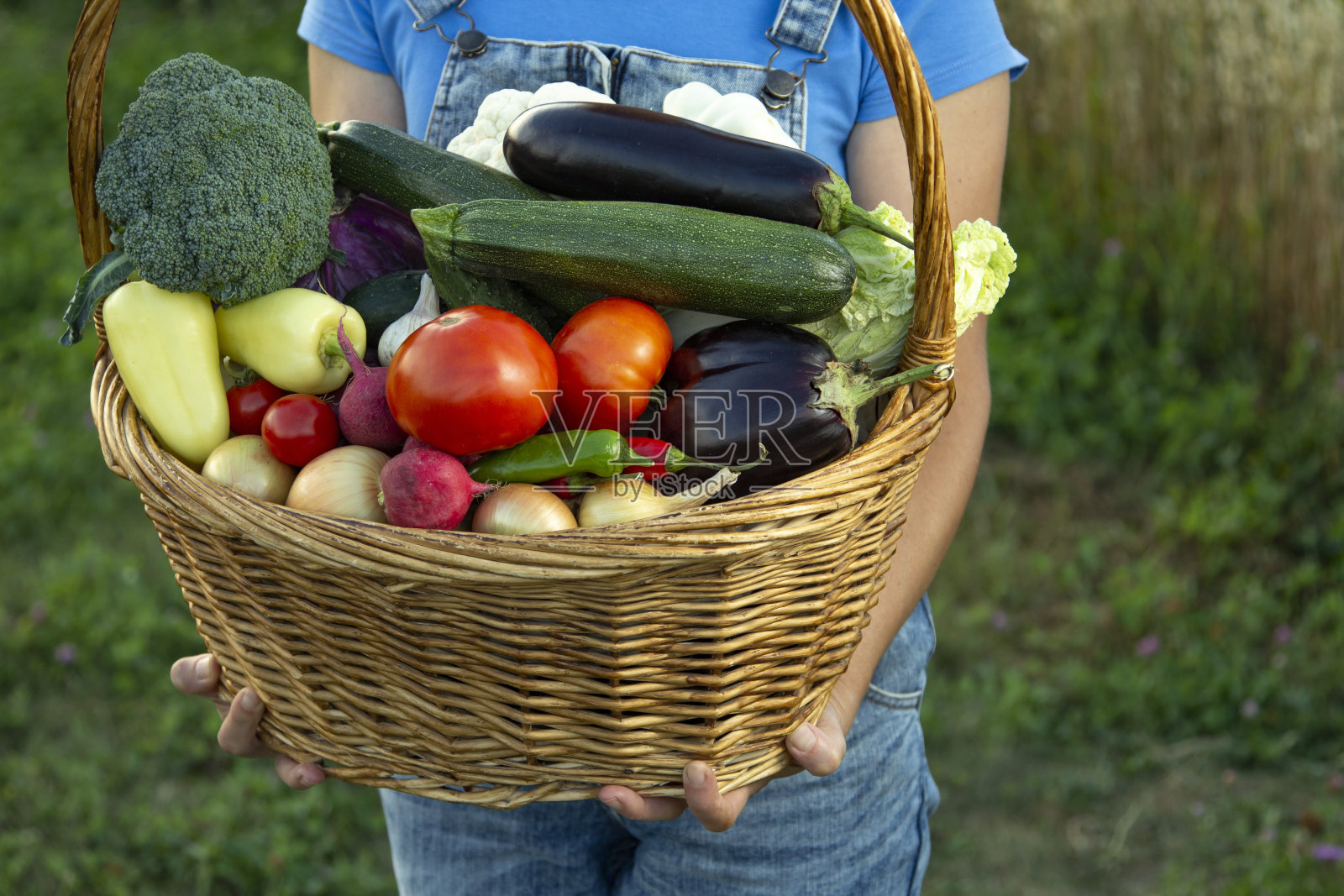 农民用生态型的篮子在花园附近收获蔬菜照片摄影图片
