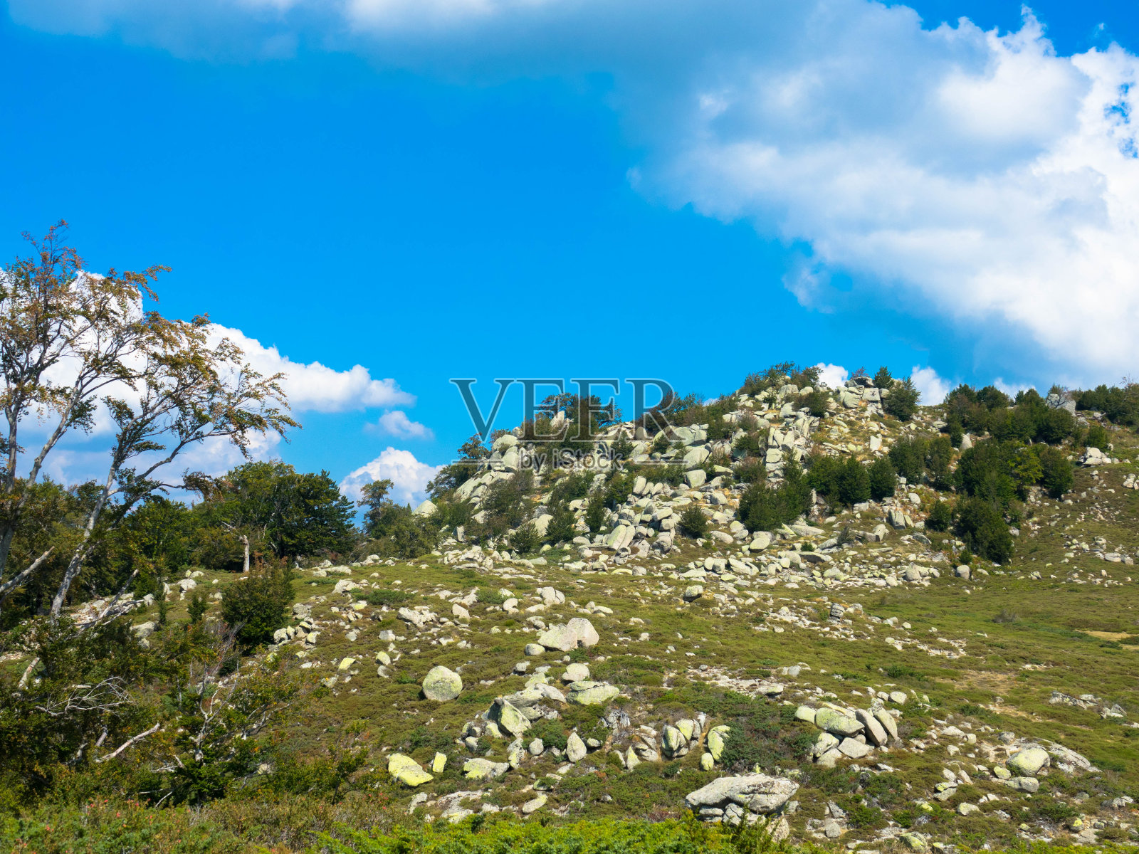 在自然保护区高原de Coscione壮观的景观全景，在Quenza附近。法国科西嘉岛。照片摄影图片
