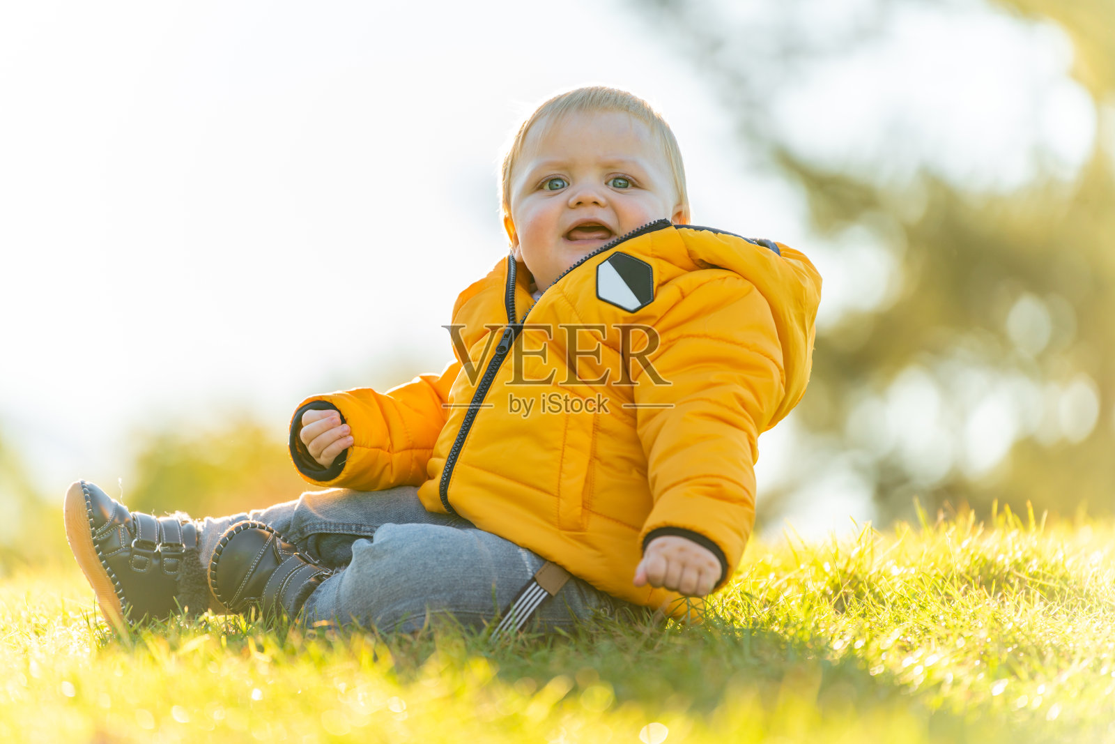 可爱的小男孩秋天在公园的绿草地上玩耍照片摄影图片