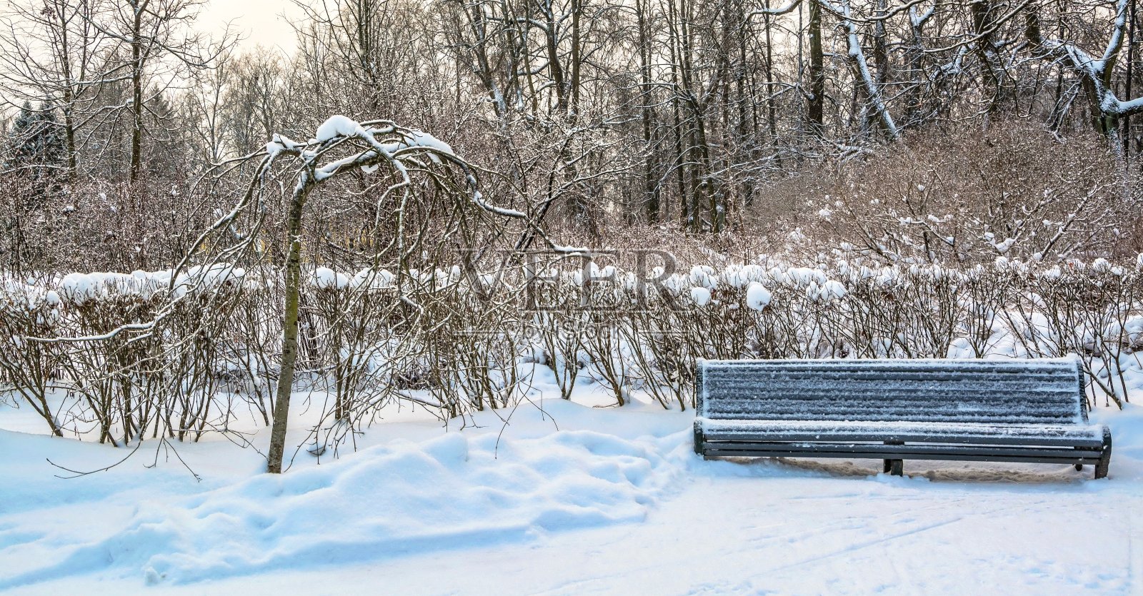 下雪的冬天的公园照片摄影图片
