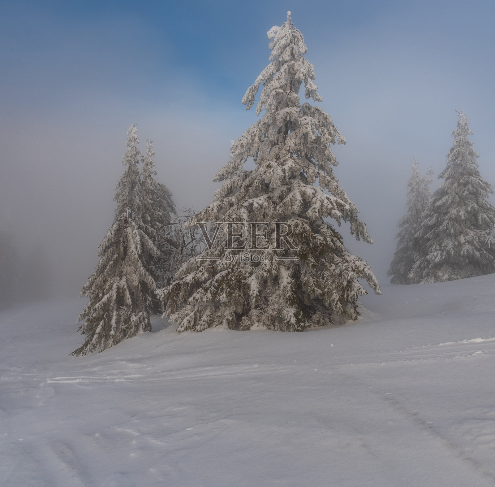 在斯洛伐克的马拉法特拉山上，冬天的山景有白雪皑皑的草地、冰冻的树木和天空的薄雾照片摄影图片