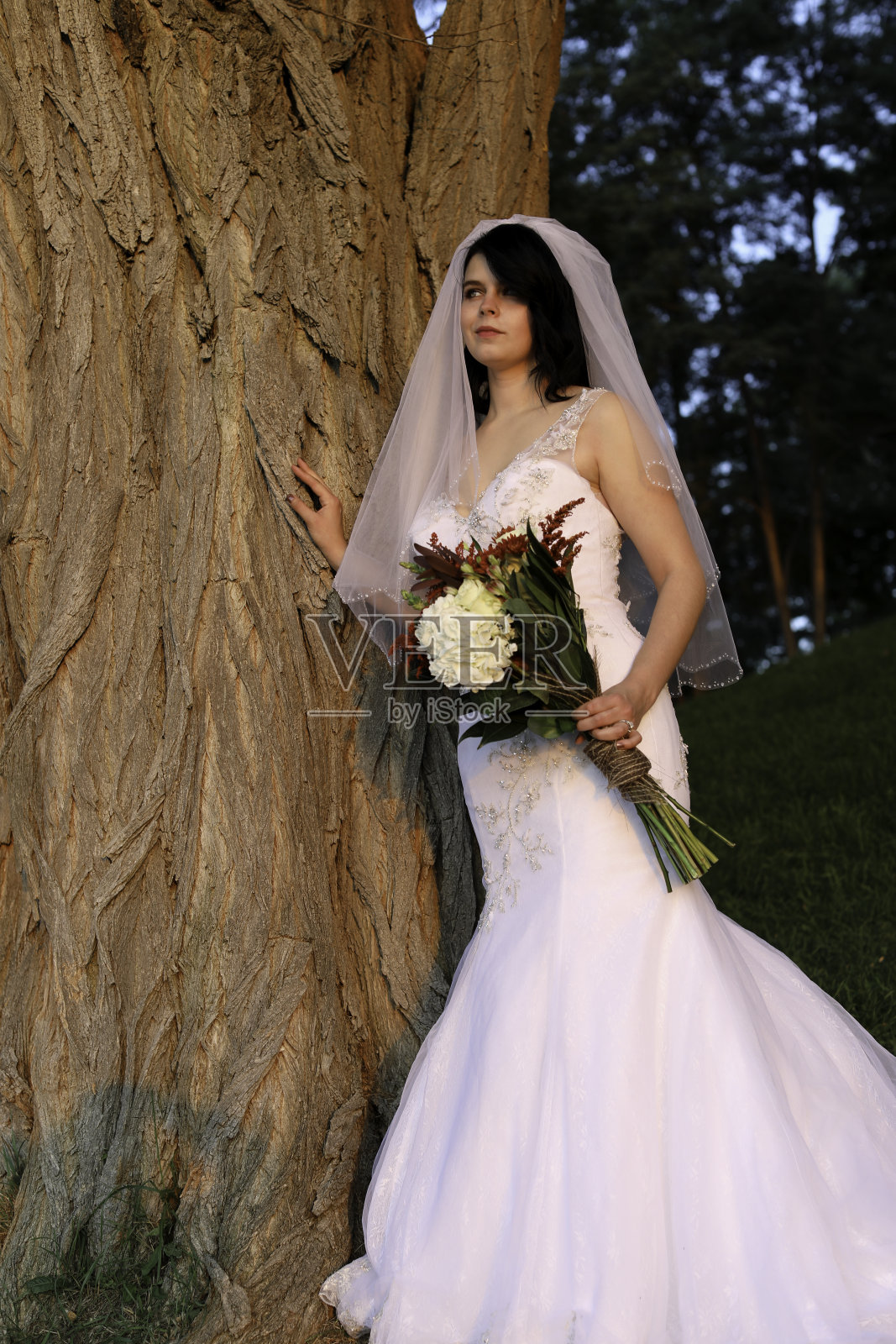 秋天美丽的新娘照片摄影图片