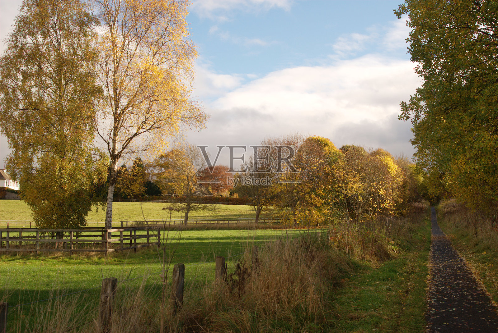 苏格兰边境梅尔罗斯附近的小路和田野照片摄影图片
