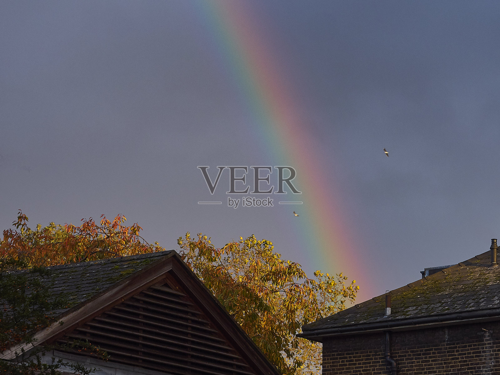 移动的风暴照片摄影图片