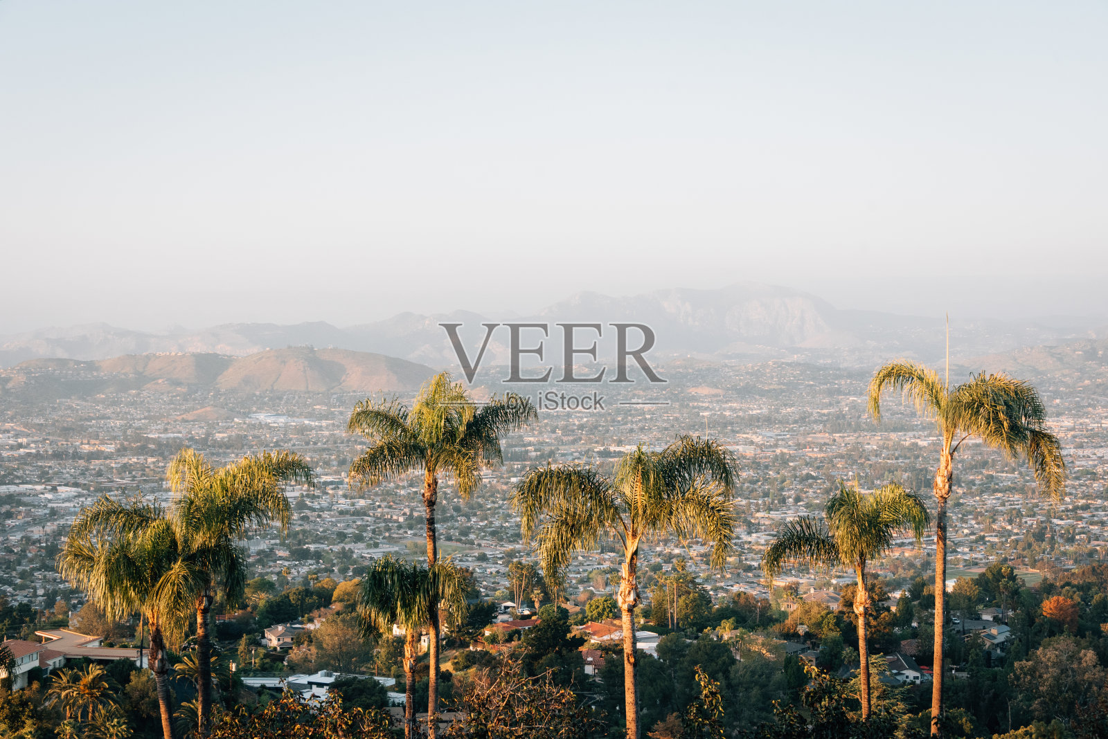 棕榈树和从加州圣迭戈附近的拉梅萨螺旋山观看照片摄影图片