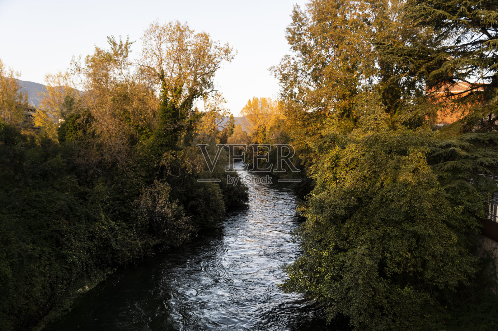 穿过城市的燕鸥黑河照片摄影图片