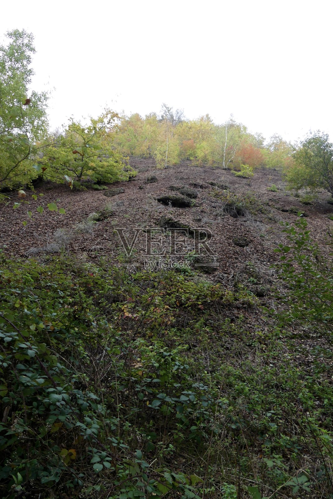 勃艮第的渣堆照片摄影图片