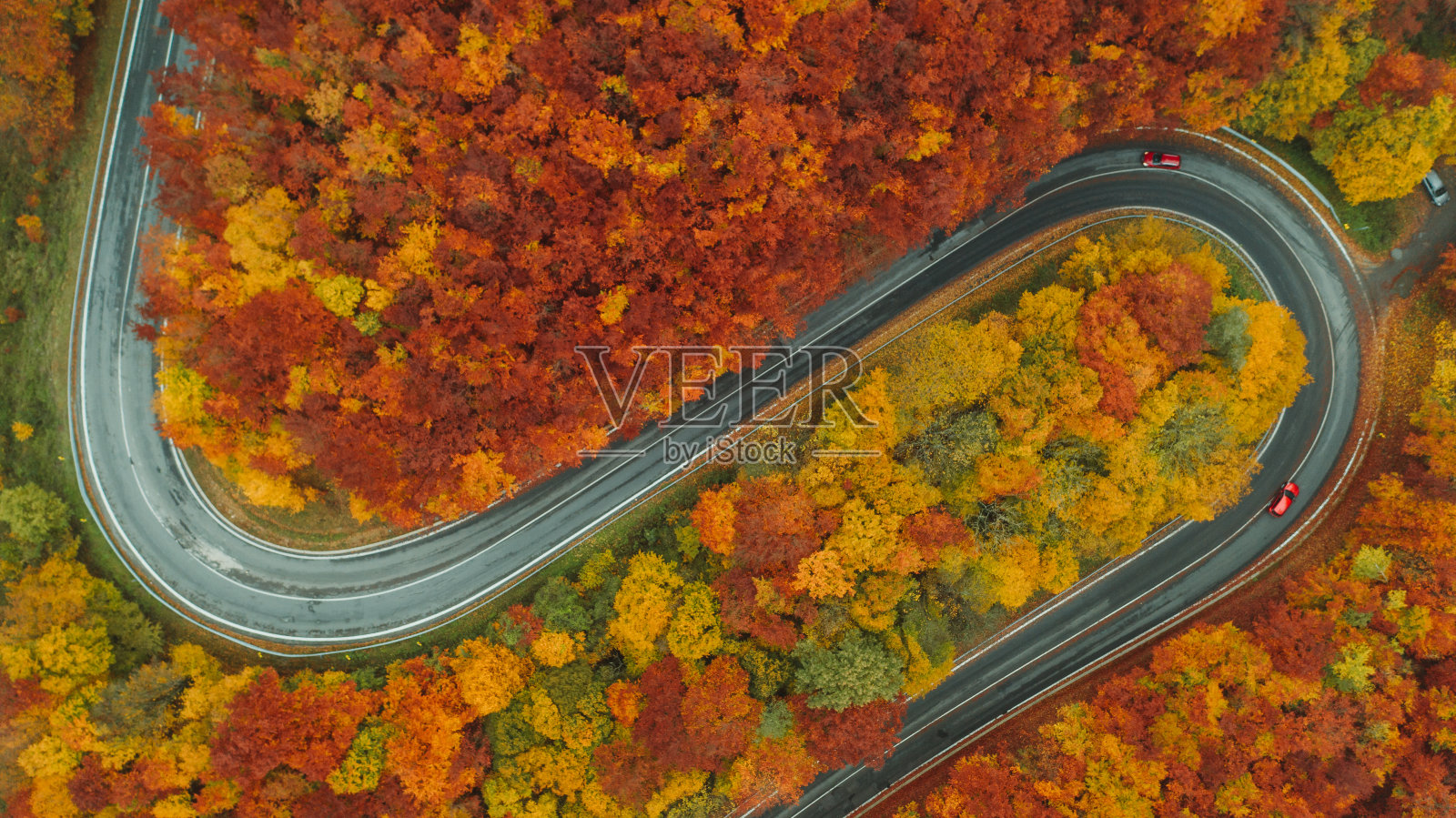 秋天森林中蜿蜒道路的鸟瞰图照片摄影图片