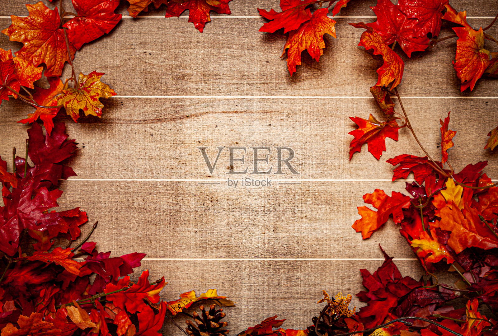 秋叶框架照片摄影图片