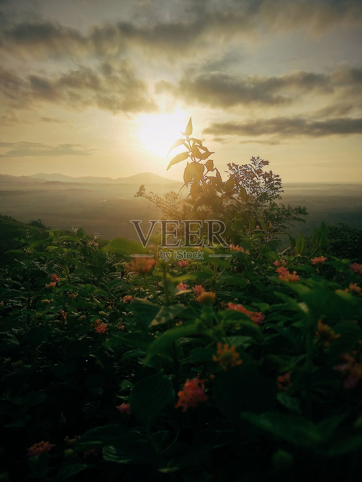 印度尼西亚南加里曼丹的美丽山丘照片摄影图片