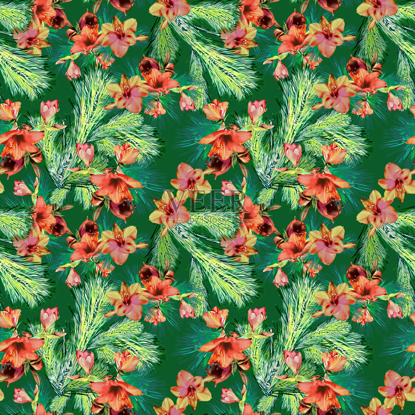 圣诞花束冷杉与孤挺花，图案无缝。插画图片素材