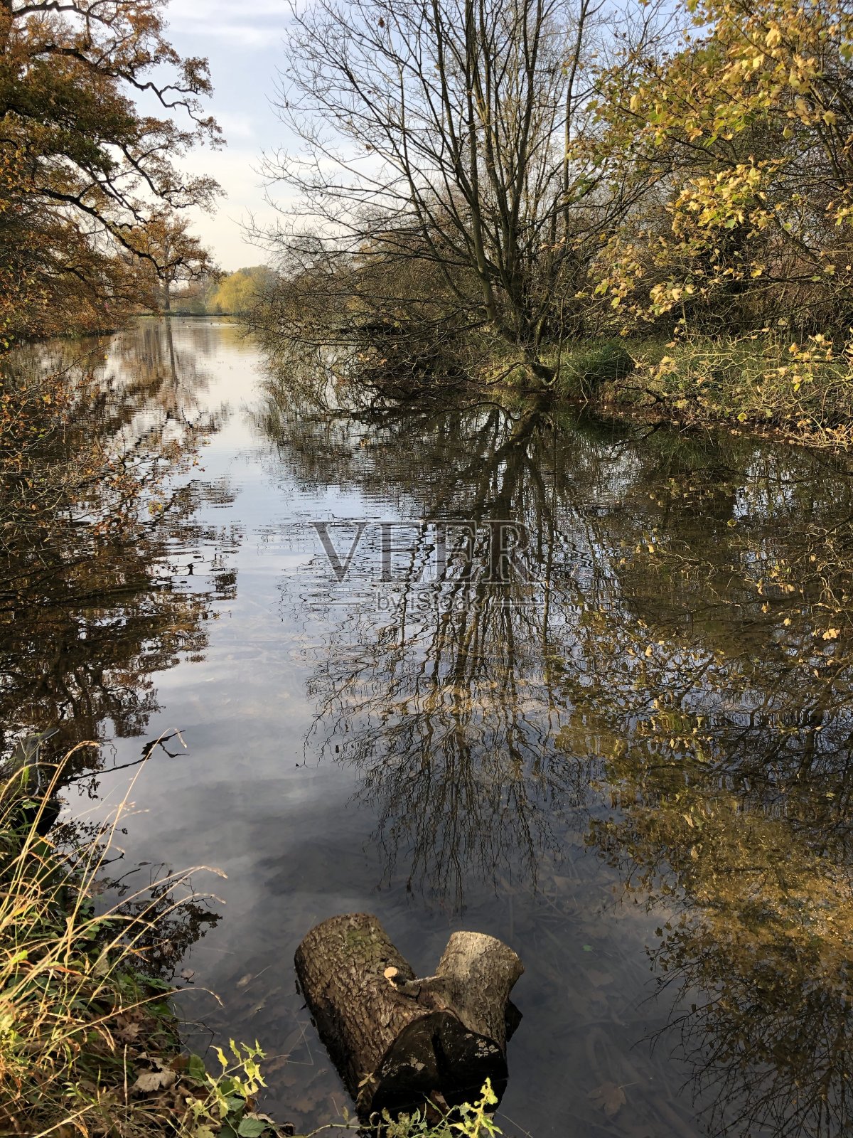 秋天的颜色在伊克沃斯萨福克照片摄影图片