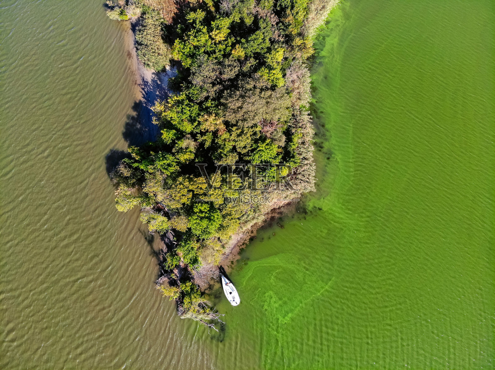 鸟瞰图的草原和上游河流顿河在俄罗斯。美丽的夏天的风景照片摄影图片