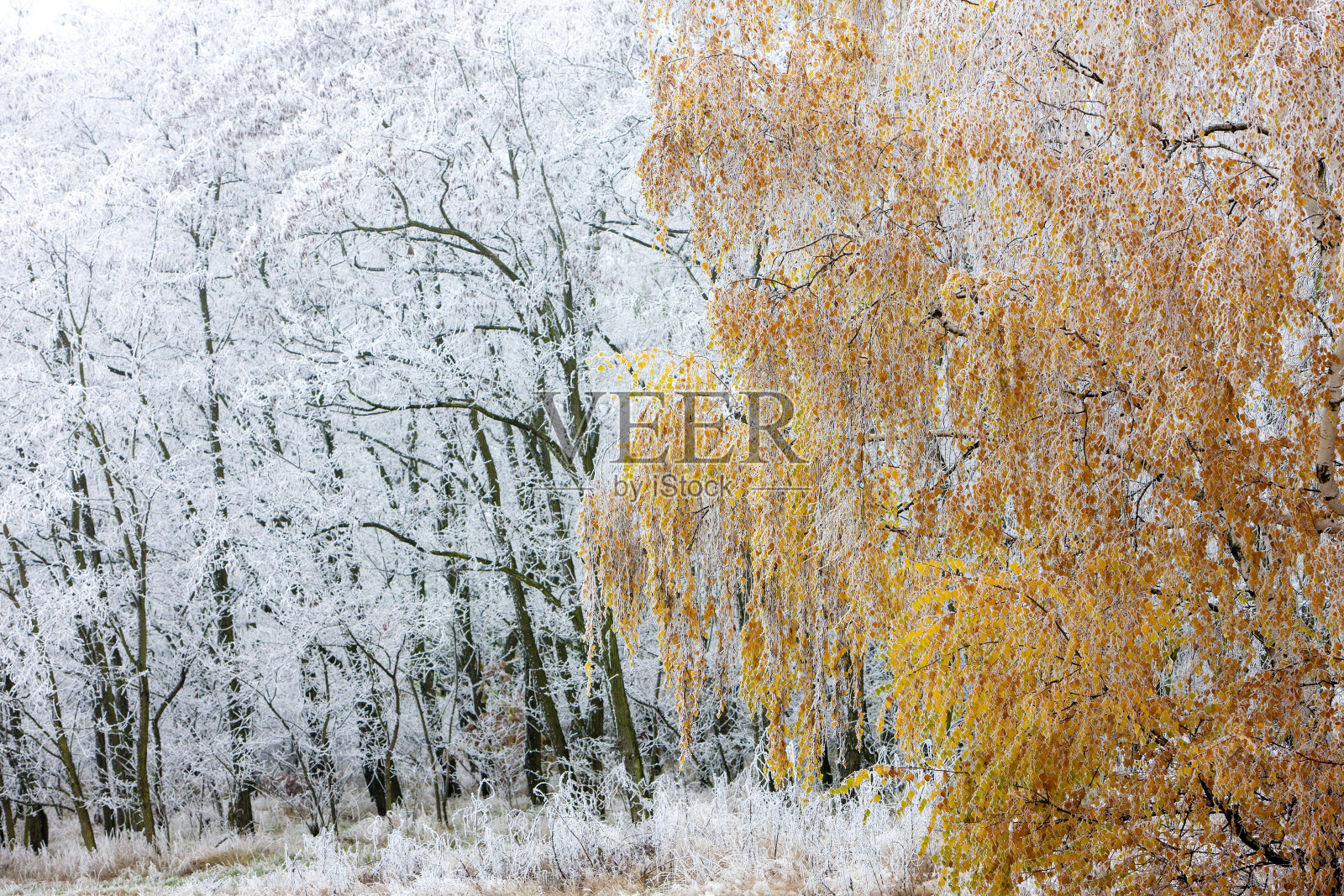 捷克共和国摩拉维亚的初秋风景照片摄影图片