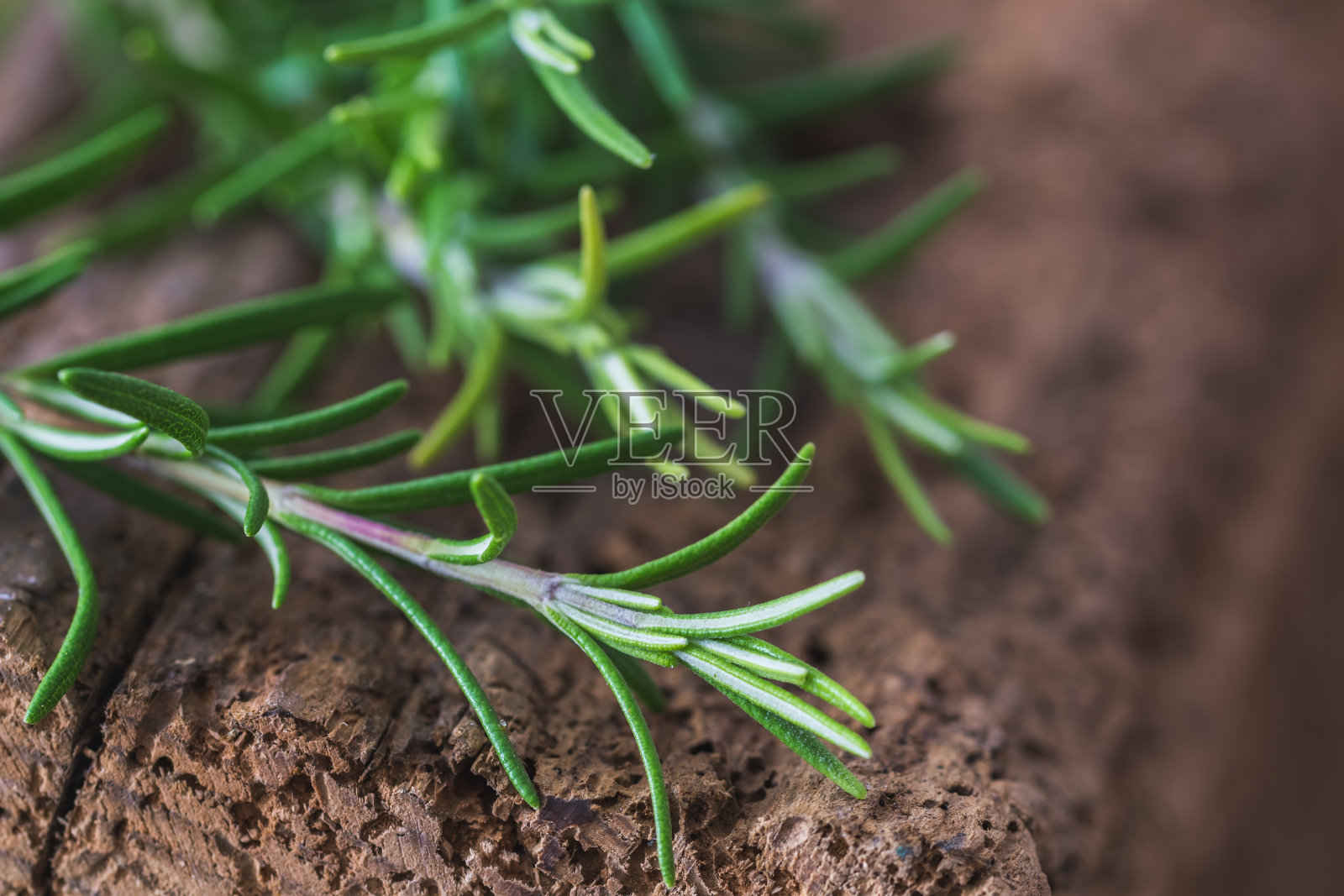 老木头上迷迭香树枝的特写照片摄影图片