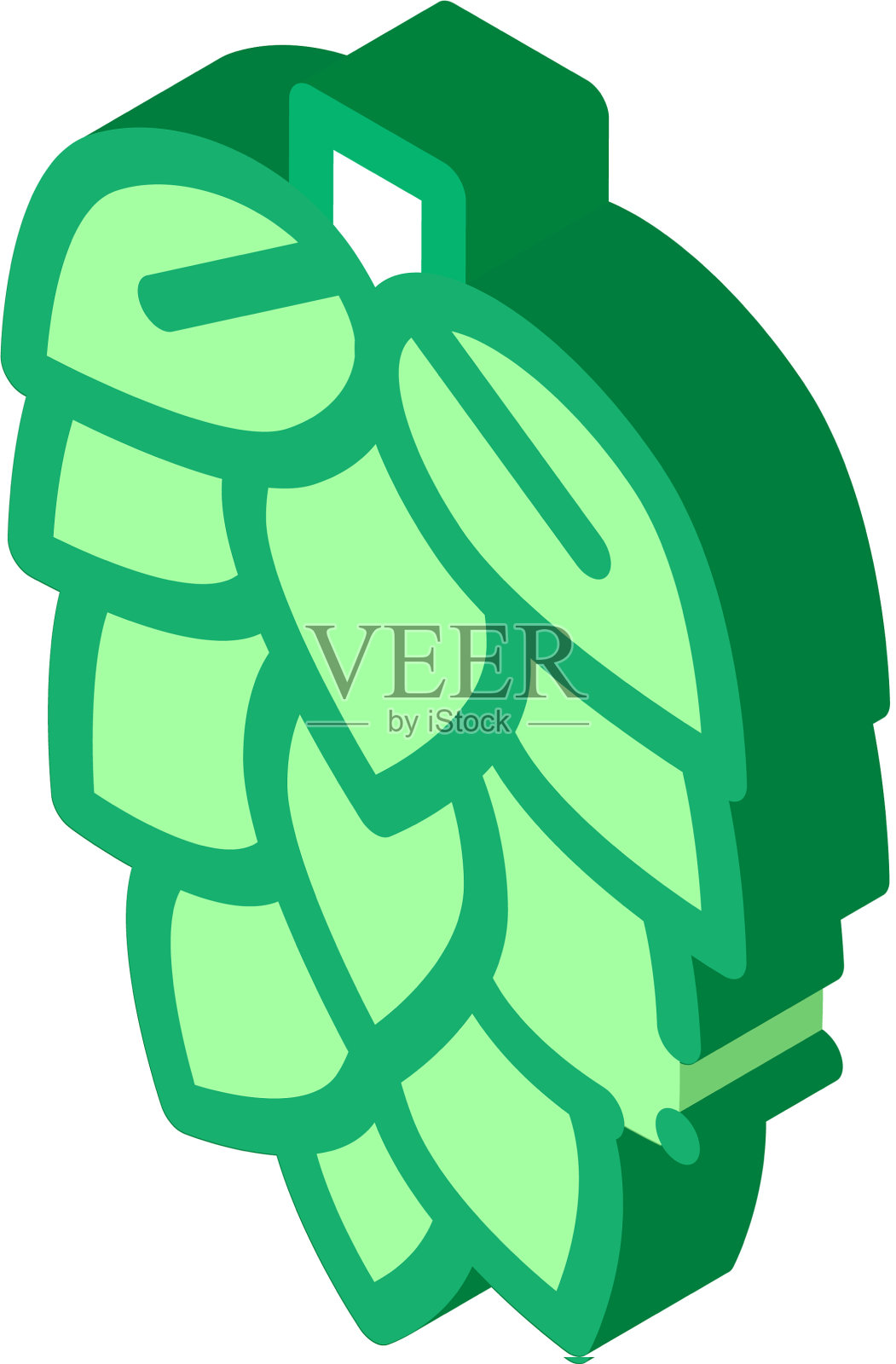 啤酒花自然植物等距图标设计元素图片