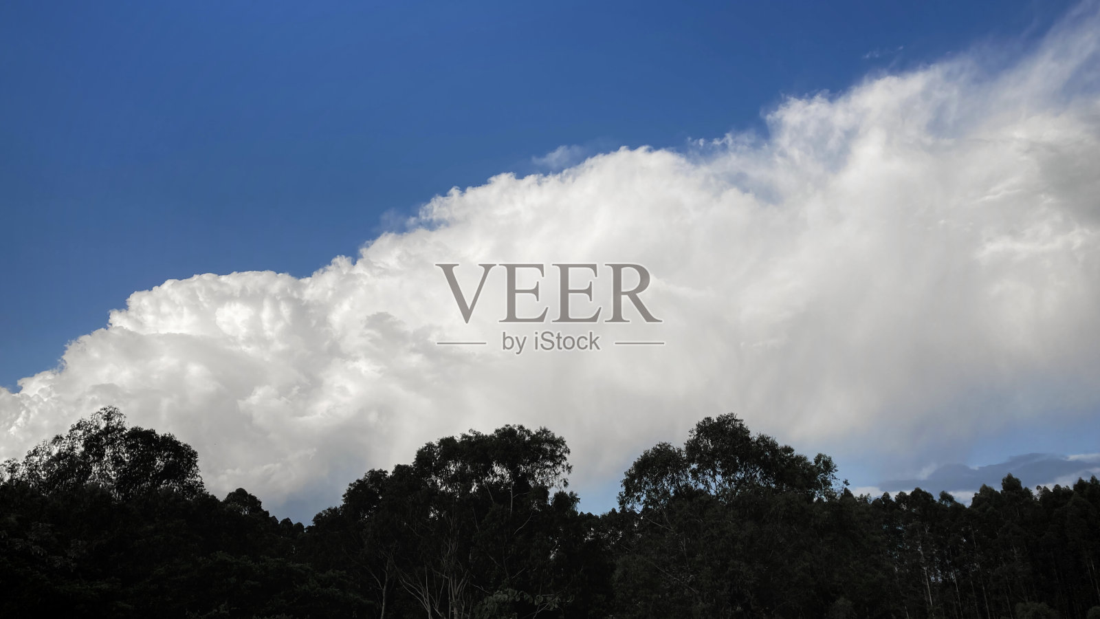 森林上空巨大的云照片摄影图片