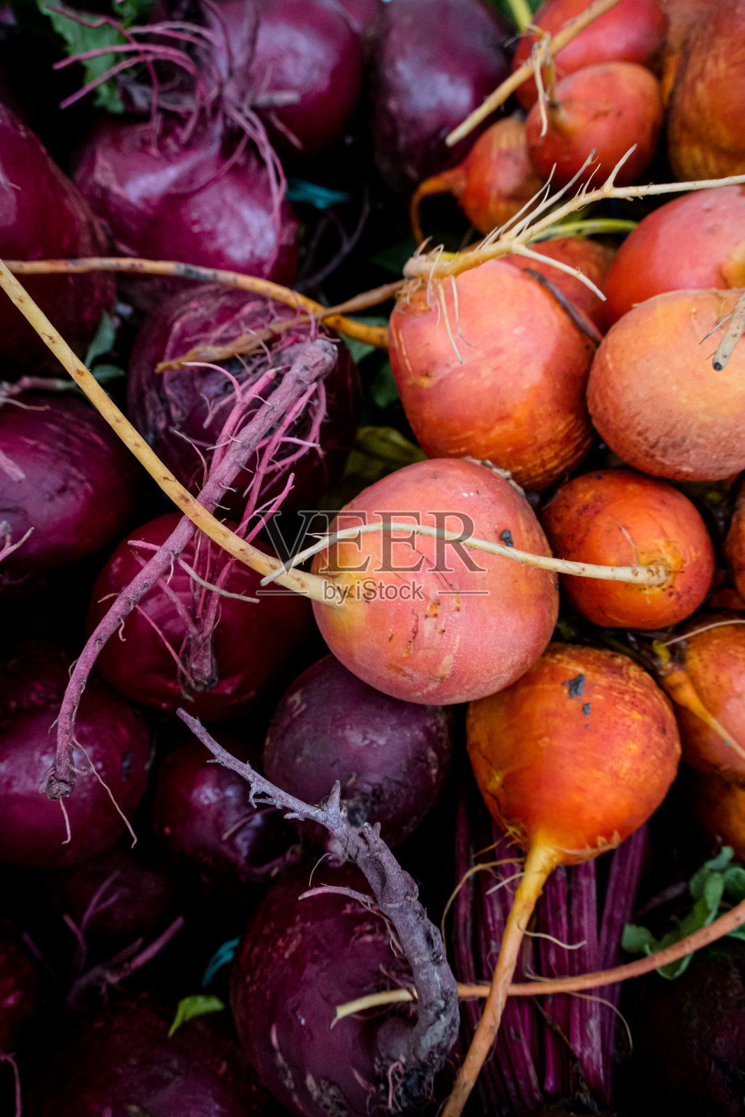 甜菜照片摄影图片
