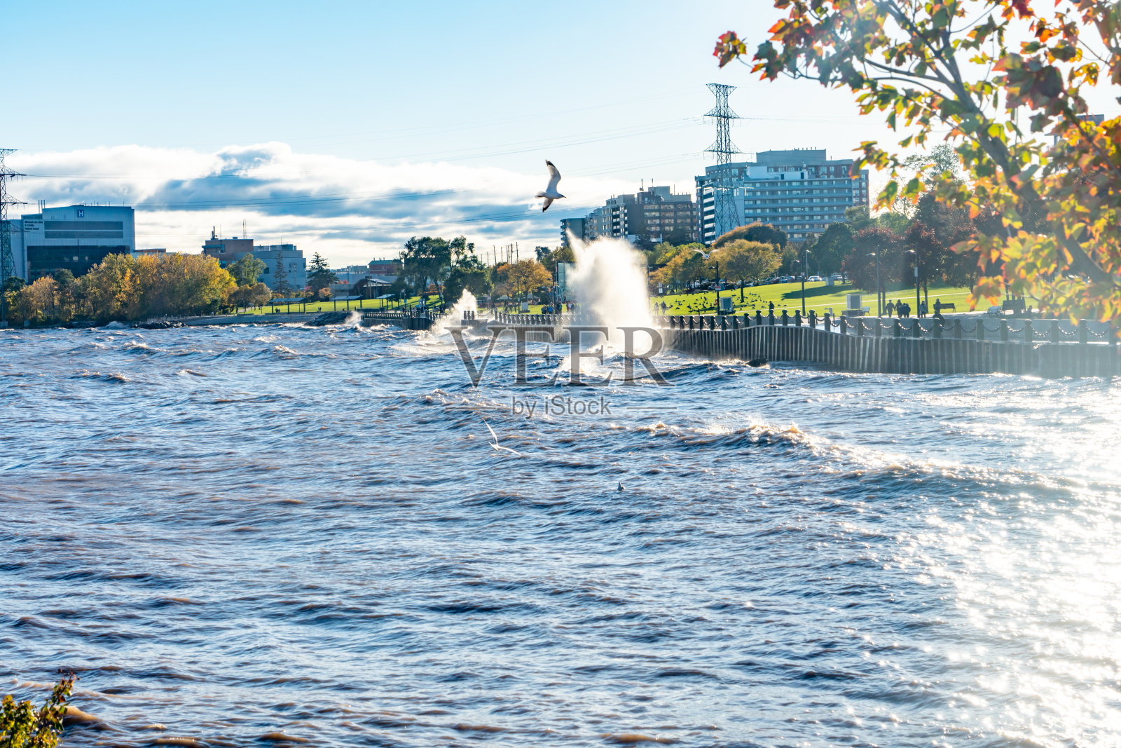 加拿大安大略省伯灵顿市安大略湖湖畔的斯宾塞史密斯公园和布兰特街码头照片摄影图片