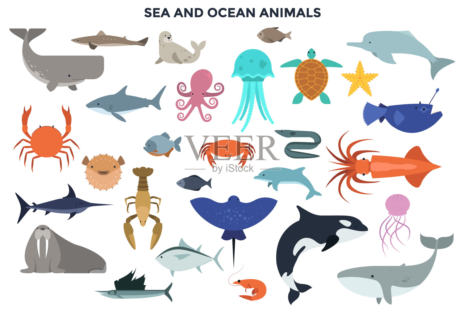 设置水和海洋动物插画图片素材